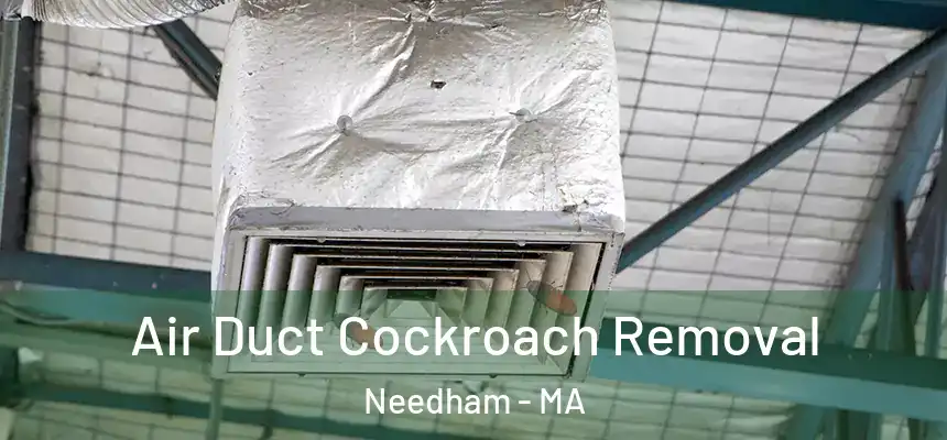  Air Duct Cockroach Removal Needham - MA