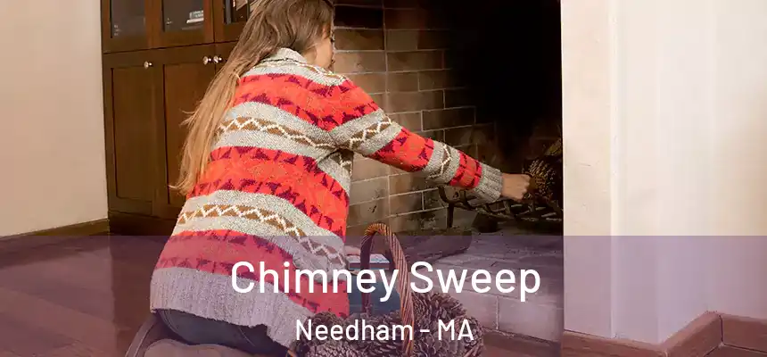 Chimney Sweep Needham - MA