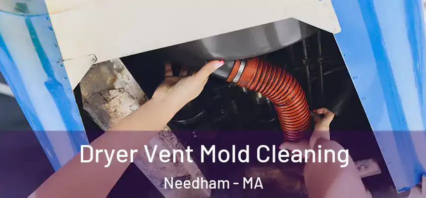 Dryer Vent Mold Cleaning Needham - MA
