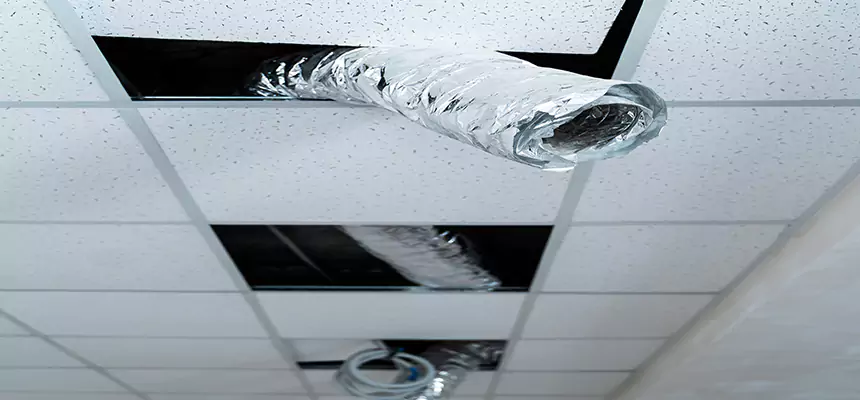 Affordable HVAC Sanitizing After Pest Removal in Needham