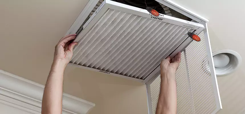 Our Insect Removal from Air Ducts Services in Needham, MA