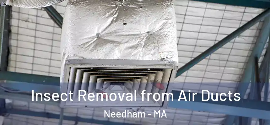 Insect Removal from Air Ducts Needham - MA