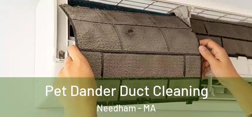  Pet Dander Duct Cleaning Needham - MA