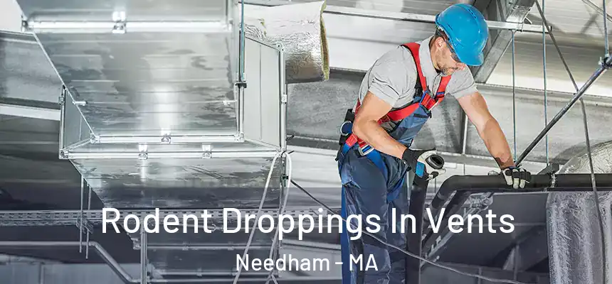  Rodent Droppings In Vents Needham - MA