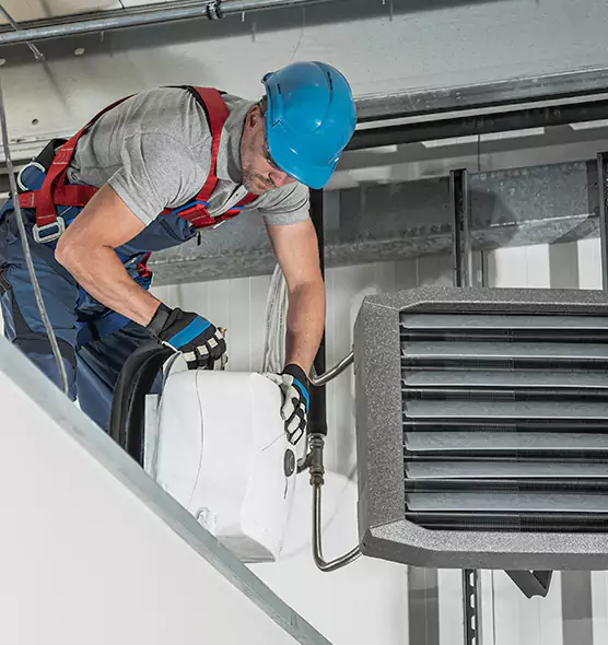 About HVAC Mold Remediation Service in Needham, MA