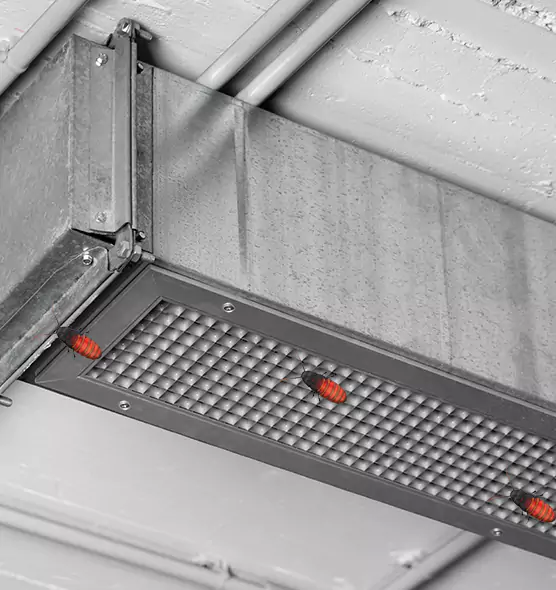 Affordable Insect Removal from Air Ducts in Needham, MA