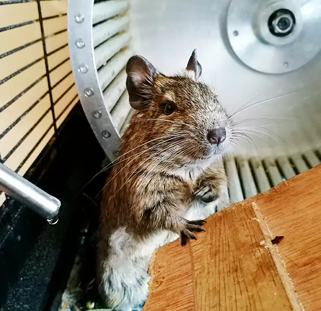 Why Homeowners & Businesses Trust Us Needham, MA?