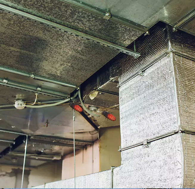 Why Homeowners & Businesses Trust Us Needham, MA?