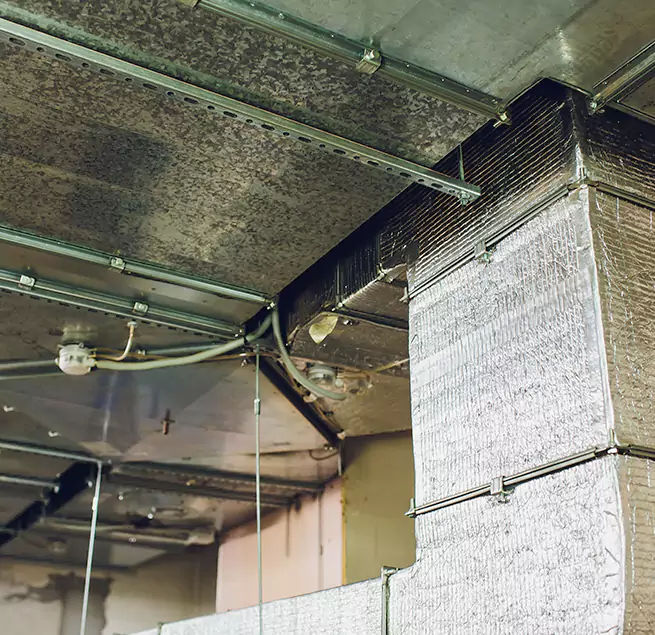 Why Homeowners & Businesses Trust Us in Needham, MA?